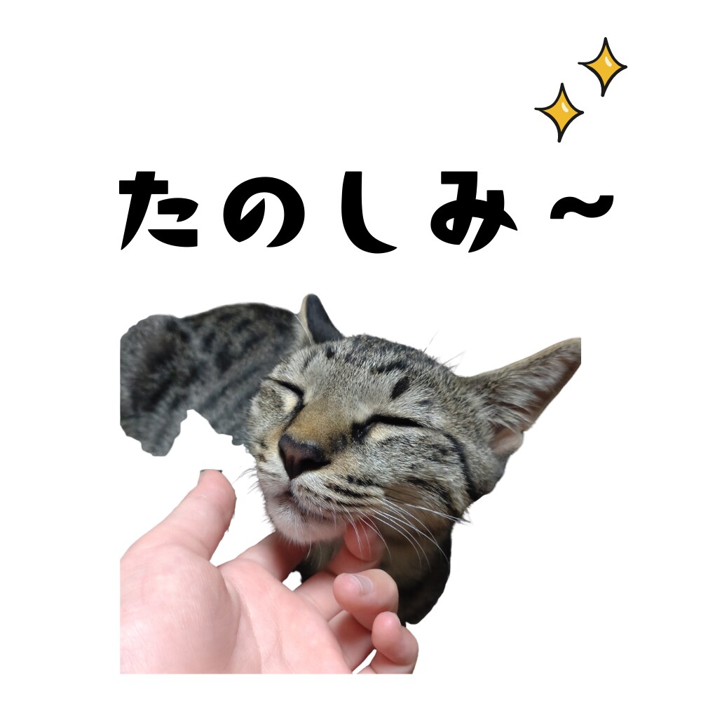 ペット写真からLINEスタンプ16個セット作ります ☆大切なペットをオリジナルLINEスタンプに イメージ2
