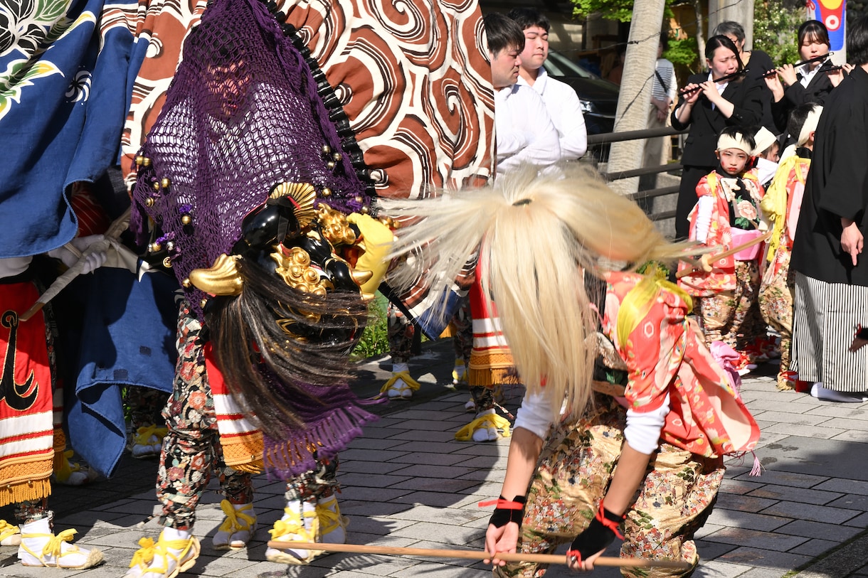 井波よいやさ祭りの写真を提供します ６つの神輿が町内を練り歩き、魔除けの獅子舞も披露される伝統祭 イメージ1