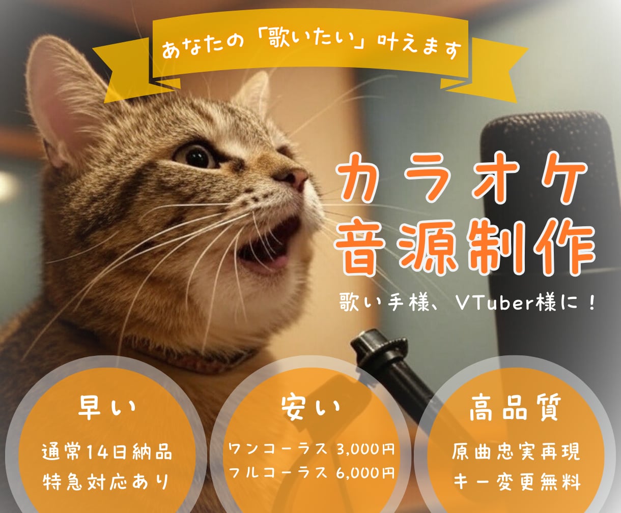 あなたの大好きな曲のカラオケ音源つくります フル尺7000円〜どこよりも低価格ながら丁寧なカラオケ音源屋 イメージ1
