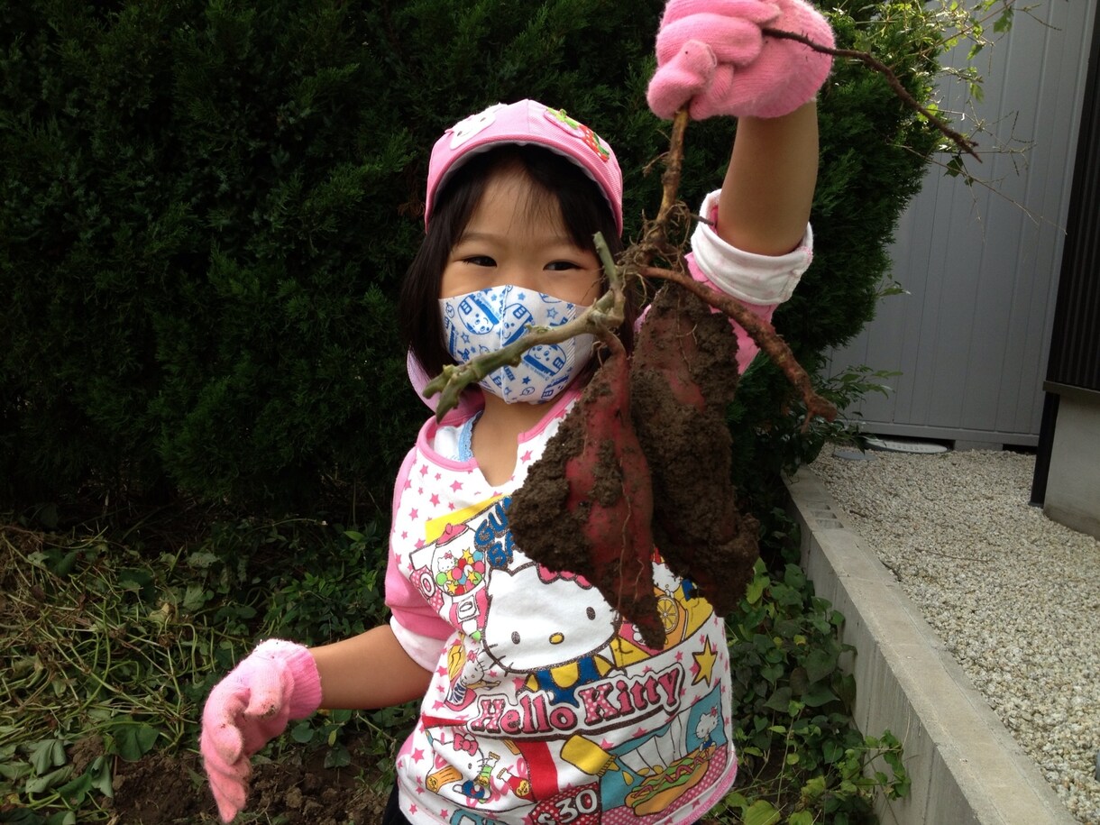 グリーンアドバイザー HOUJITU(ホウジツ) イメージ1
