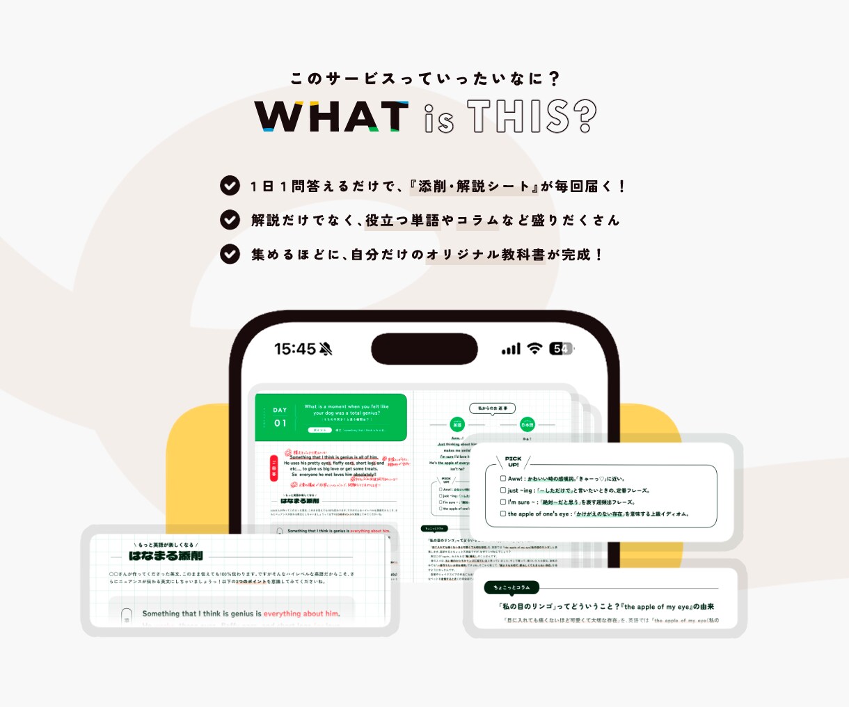 1日1回答で！あなた専用英語解説シート届けます 【初中級】対面なしで挫折しない！3回お試し〜1ヶ月までOK イメージ2