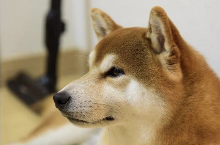 毎日ツラいと感じている方…私が寄り添い癒します あなたはひとりではありません！心のもやもや吐き出しませんか？ イメージ9