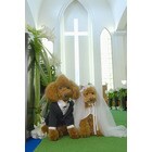 あなたにピッタリお似合いの結婚相手のプロフィールをご紹介いたします♪ イメージ1