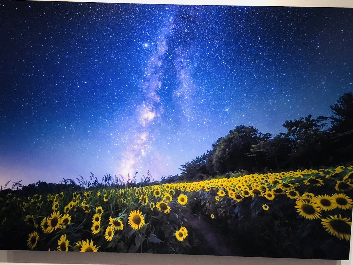 霊視霊感で今の御仕事の将来についてお伝えしします 強力霊視✨貴方に寄り添う✨仕事の人間関係視ます✨金運アップ イメージ8