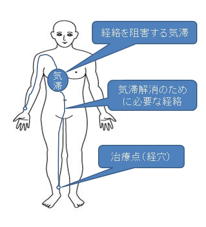 てい鍼プレゼント付き！望診法通信講座を公開します 始原東洋医学を基とした、気や経絡を感知する望診の修得講座です イメージ2