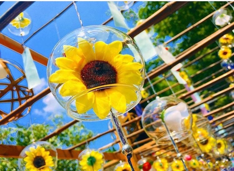 Instagramの投稿写真の相談や編集を承ります インスタを魅了的でワクワクするものにしませんか？ イメージ5