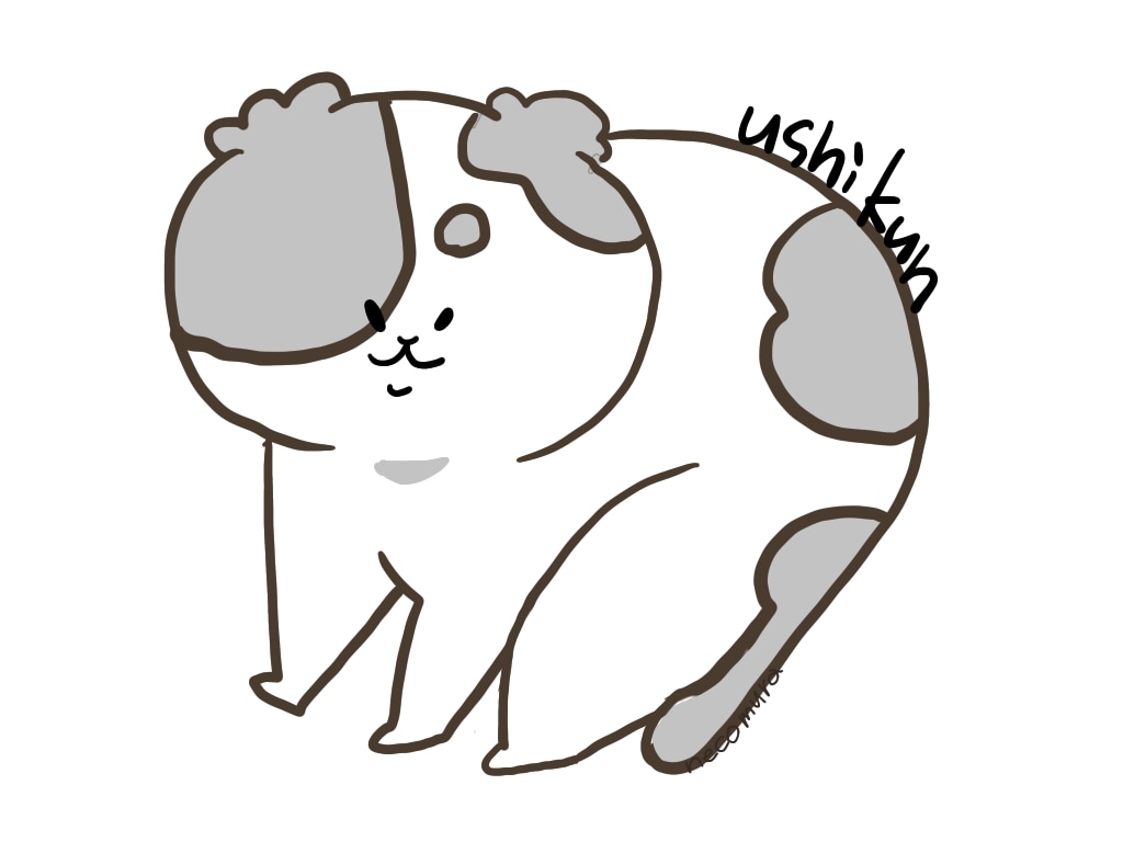 ペットのイラスト、飼い主さんのイラスト、描きます 犬猫以外も○！アイコンや、個人でのグッツ作成などに！ イメージ10