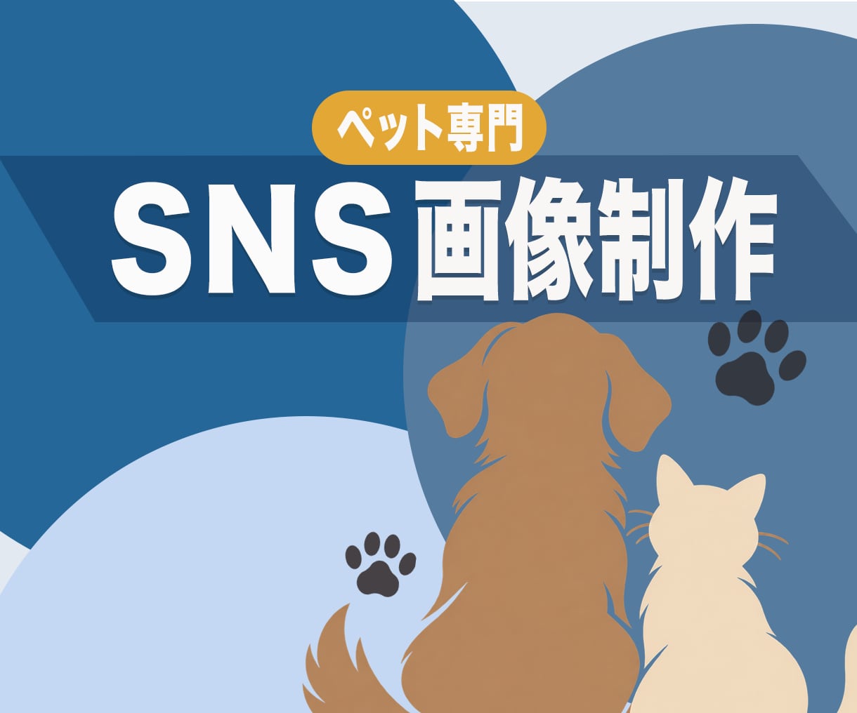 ペット専門！インスタ・SNS投稿画像制作します 動物病院やペットショップの集客に！目を惹くデザイン イメージ1