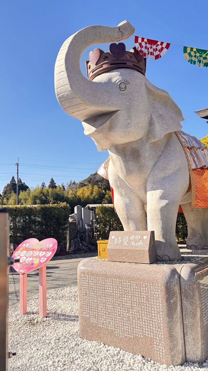 長福寿寺の金運成就代理参拝をします 吉ゾウくんの正式作法で代理参拝｜本気で金運を上げたい方限定 イメージ3