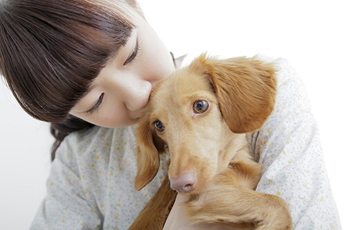 あの人の本音を伝えます あなたは今、何をすべきなのでしょうか イメージ2