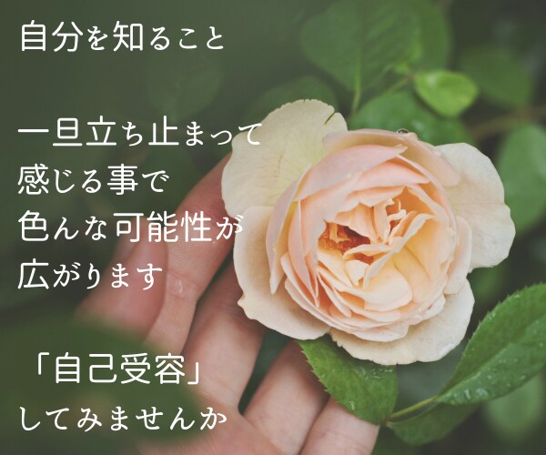 もう悩まない❤初めての数秘術❤貴方の本質伝えます ✤恋愛✤仕事✤結婚✤夫婦✤子育て✤人間関係✤自己分析✤適性 イメージ3