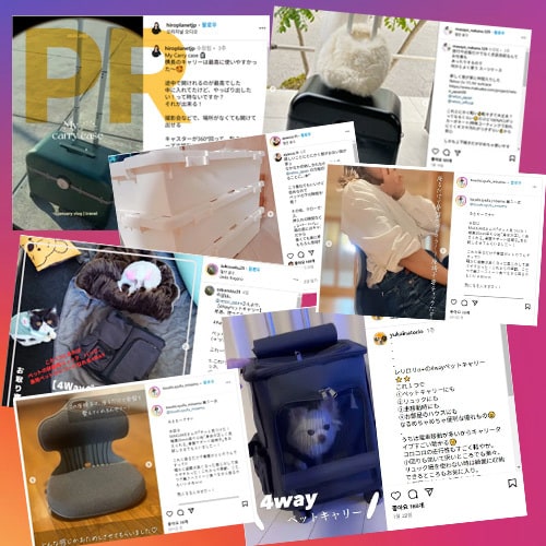 SNS『インスタ』で製品やサービスを宣伝します SNSマーケティング！約2万人フォロワーに宣伝します‼️ イメージ2