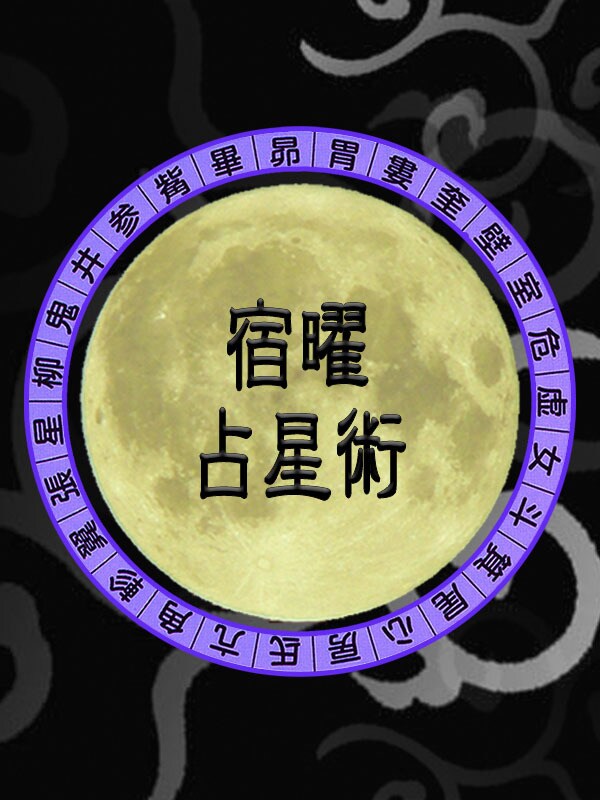 1問 ➡１答  Mix占術でシンプル鑑定いたします 『結果だけ』知りたい時の お手軽鑑定！ イメージ4