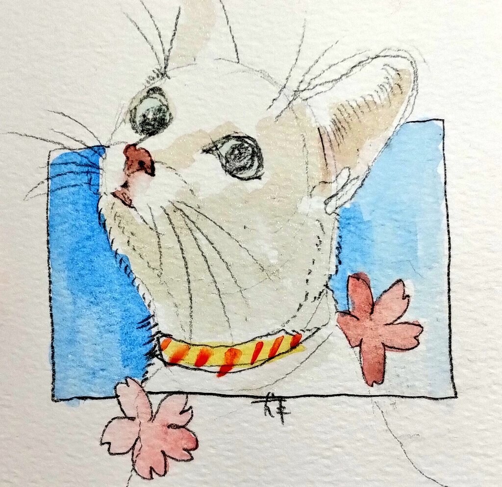 あなたの大切なペットの似顔絵を描きます 水彩やデジタルであなたのペットをお描きします。 イメージ1