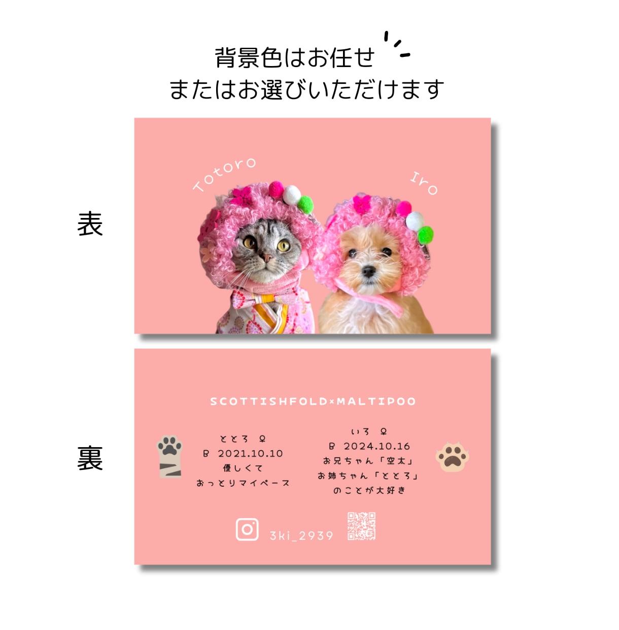 ペットの可愛さ引き出す『うちの子名刺』を作成します 背景色はお任せください！ペットに合わせたお洒落な仕上がりに イメージ3