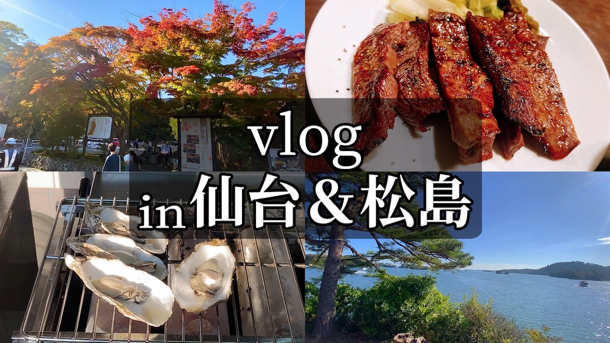 YouTube用動画の編集を代行します プロの実演販売士が企画・構成・編集もサポートします。 イメージ2
