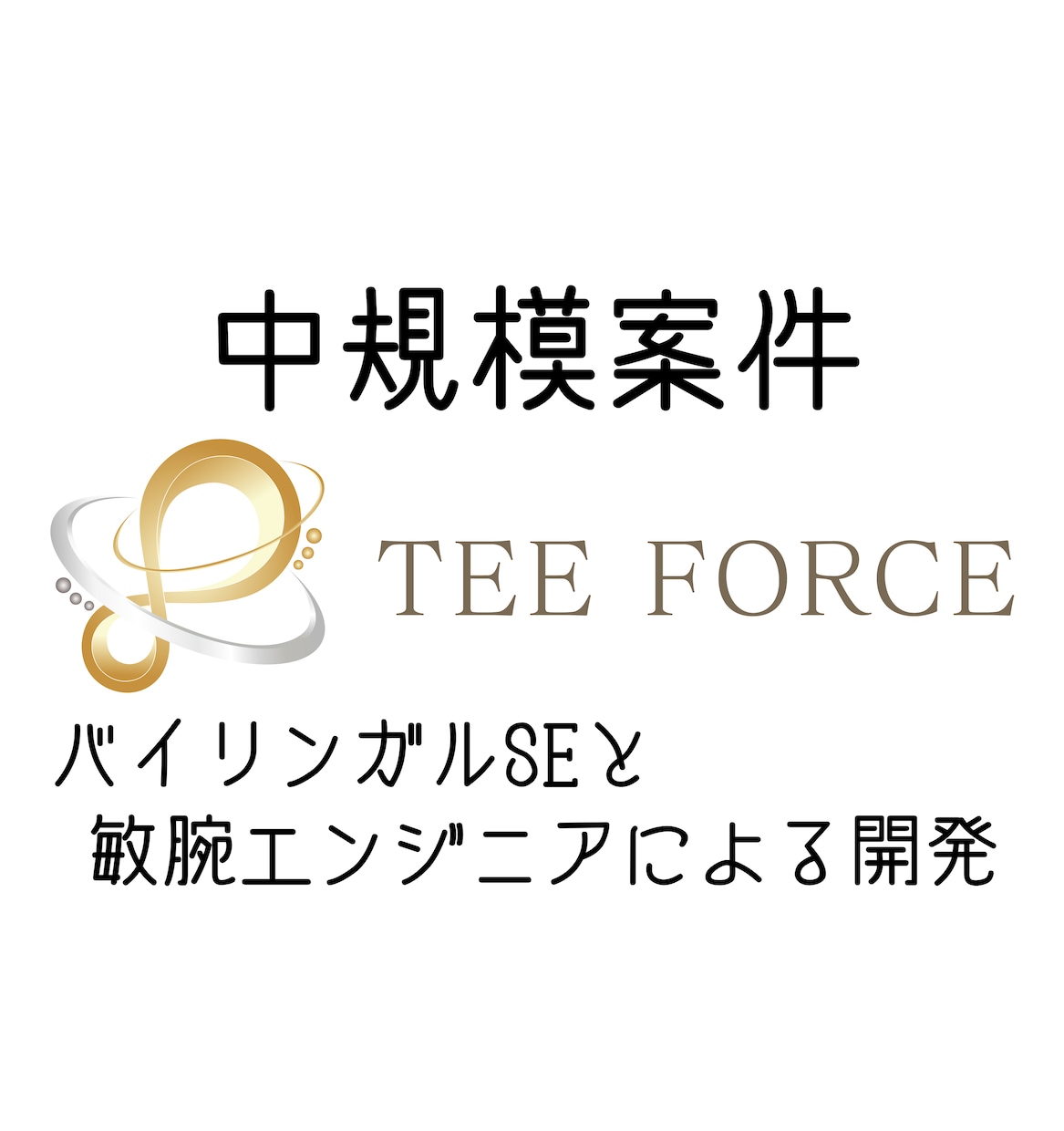 中規模のシステム開発や保守・運用を行います ★コスト以上のハイエンドなシステムが貴方の会社を支えます！ イメージ1