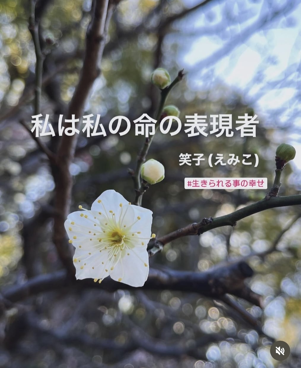 最長20分♥️お心安らげるようお話お伺いします 人生全般/気付き/悩み/安心感/自分を大切にする/癒し イメージ4