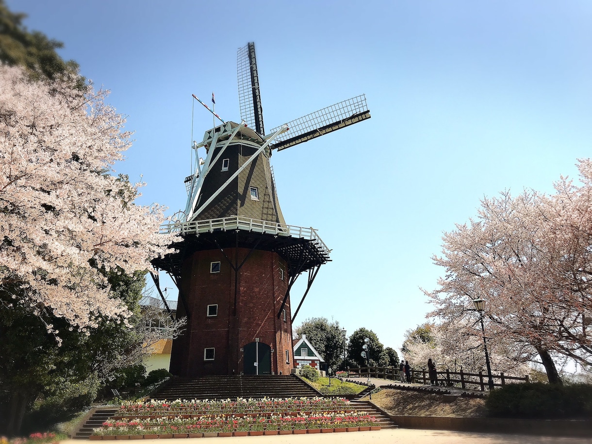 風景写真に桜吹雪を追加します 写真編集歴3年｜特別な1枚を作ります！ イメージ3