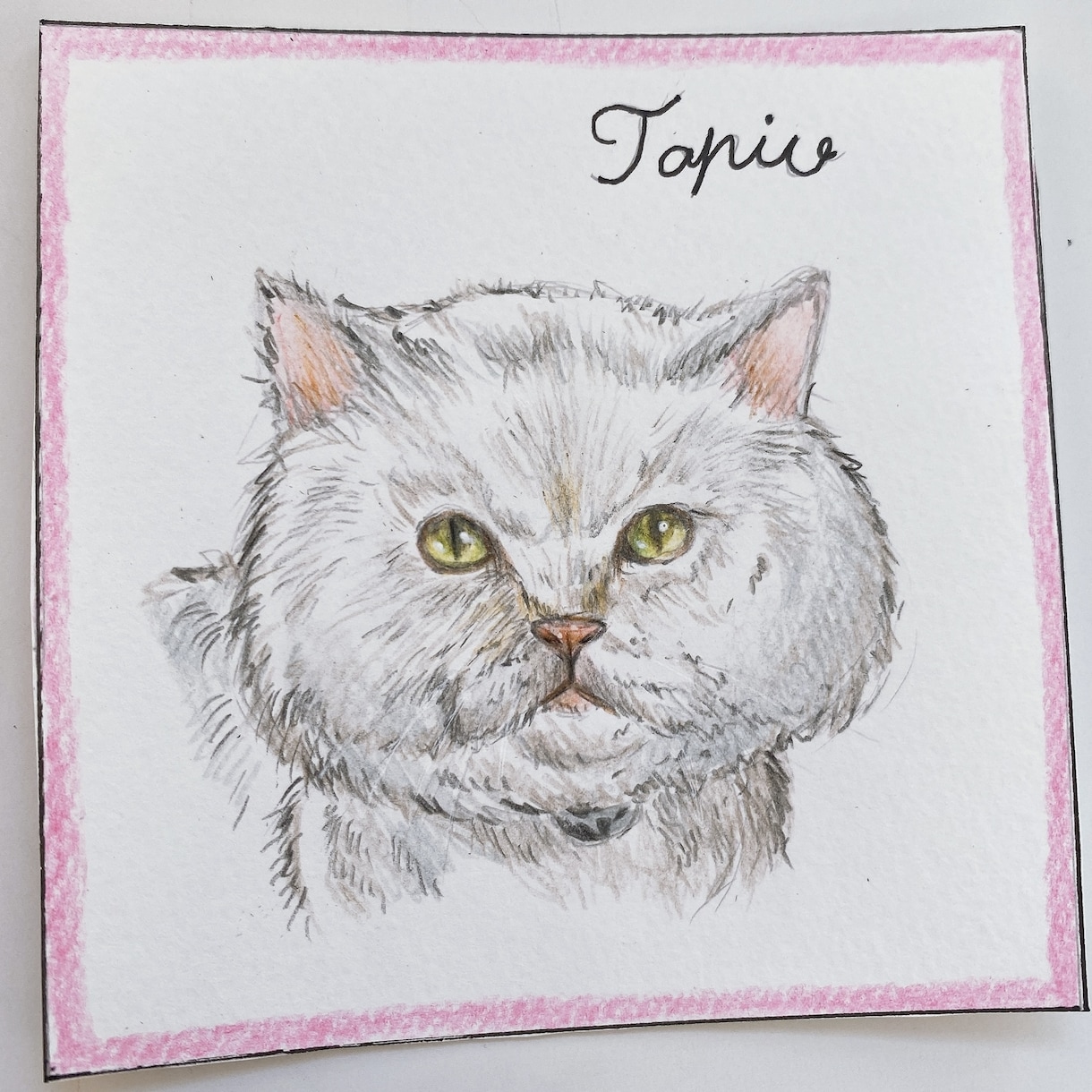 色鉛筆でペットの似顔絵を描きます フワッとしたタッチのペットの似顔絵をお求めの方へ イメージ6