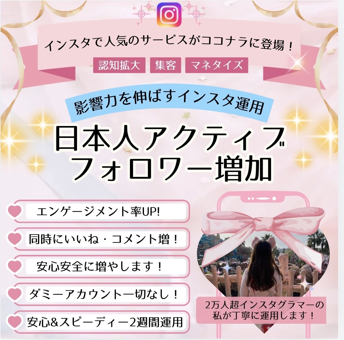 安心安全に日本人アクティブフォロワー増やします 「インスタで人気のサービスがココナラに進出！」10日間 イメージ1