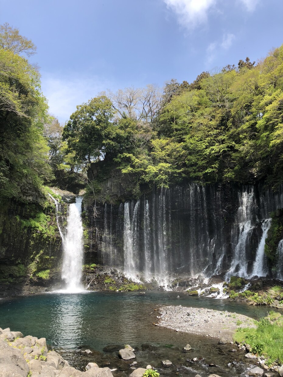 神社の神主が龍神祝詞にて御力をお分けします 龍神様のお力をいただき心身ともに浄化され新たな心で再スタート イメージ3