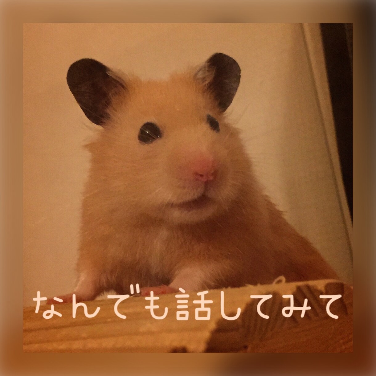 今すぐ誰かと話したい！愚痴・悩み　なんでも聴きます 知り合いには話しにくい事も、ここで気軽に話してみませんか？ イメージ1