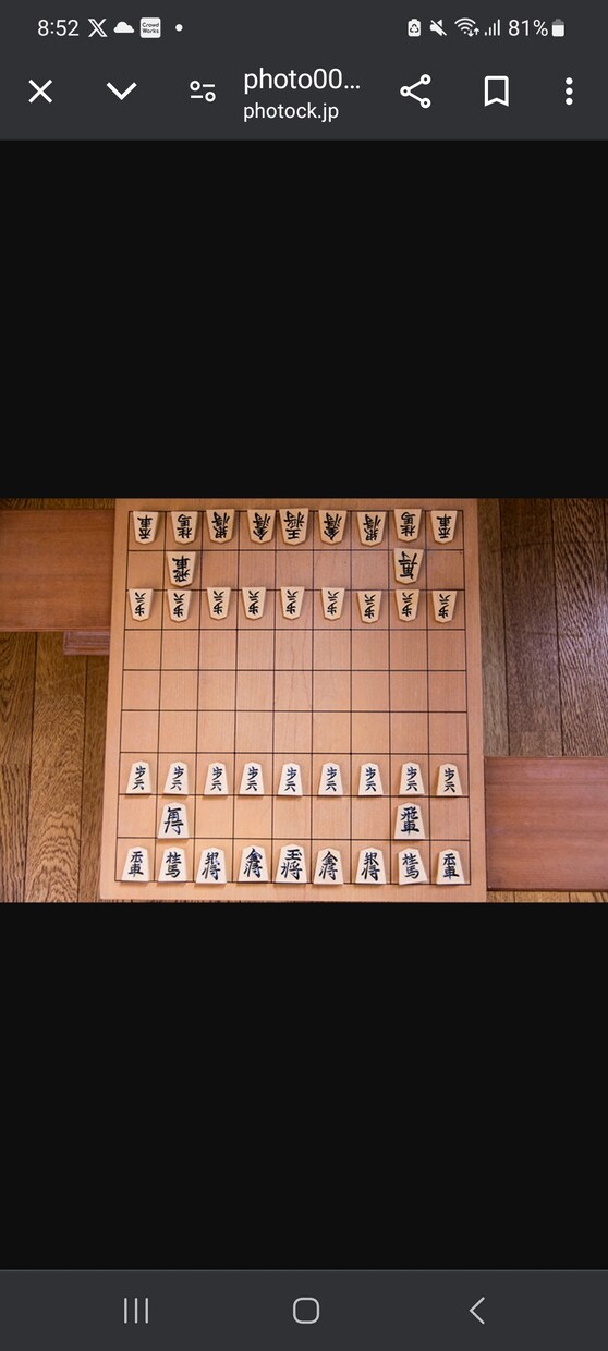 将棋の初心者向け 将棋駒の動かした方教えます 将棋を覚えたい人は必見 丁寧に教えます。 イメージ1
