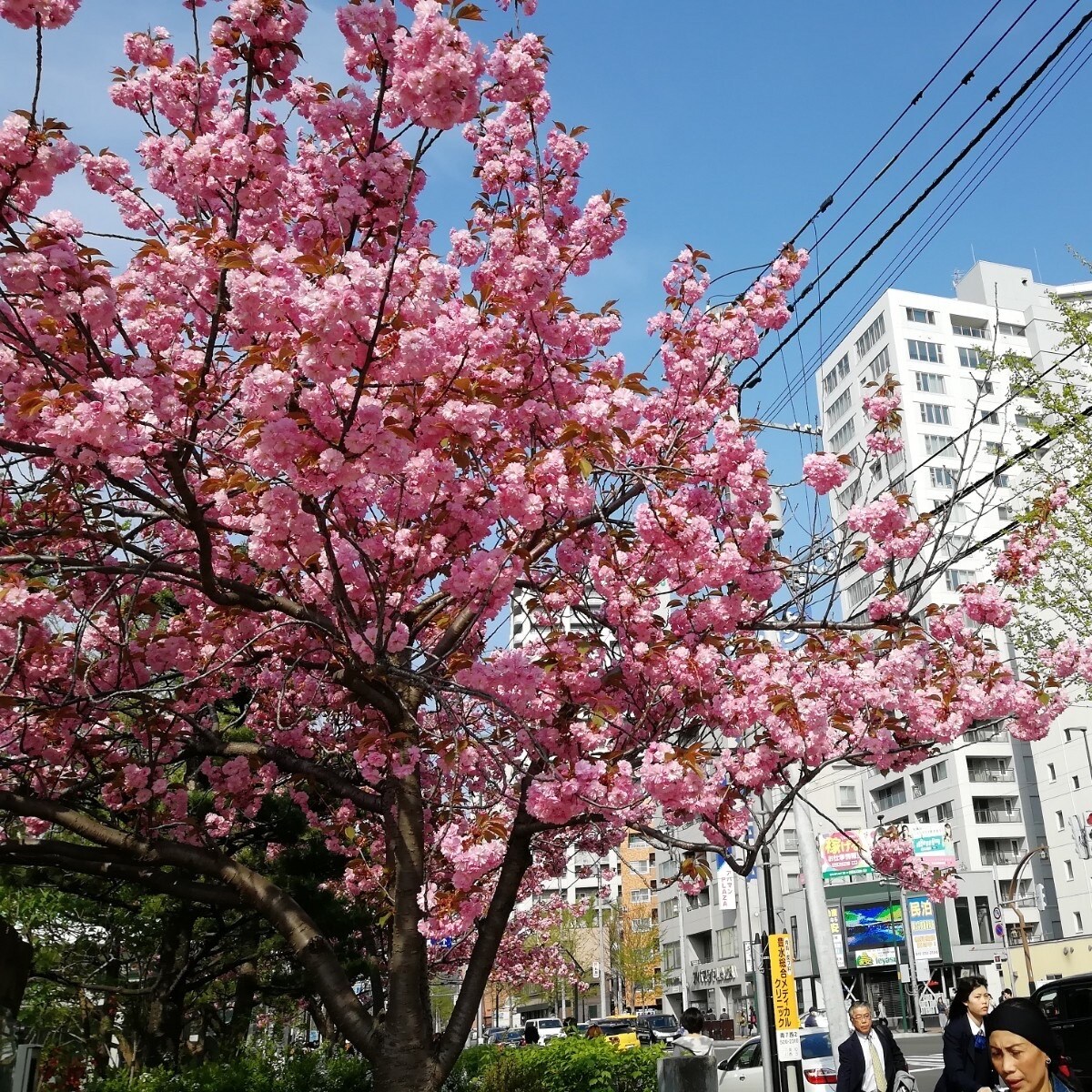 どんなお話でもなんでもききます どんな相談でもどんなお話でも構いません！ イメージ1