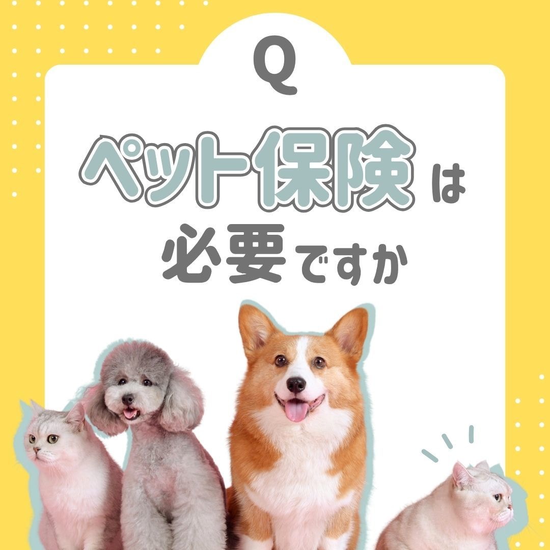 実績600超☆丸投げインスタグラム運用代行します コスト重視で安くInstagramの運用をして欲しい方！ イメージ6