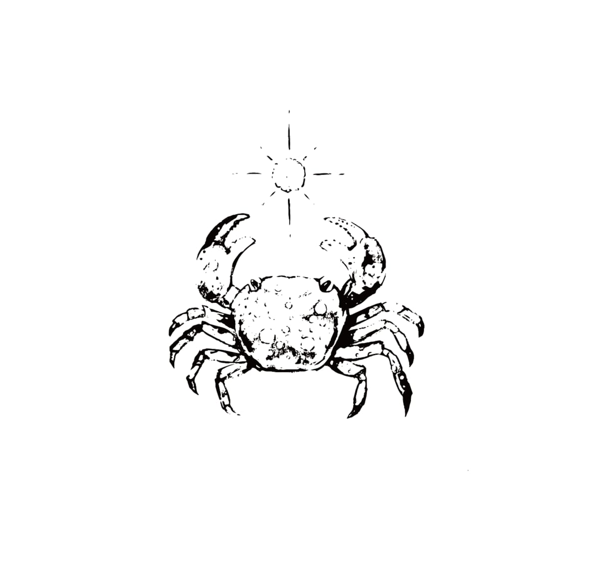 動物イラスト作成します スケッチ画からベクターデータへ変換。様々な用途で使えます イメージ5