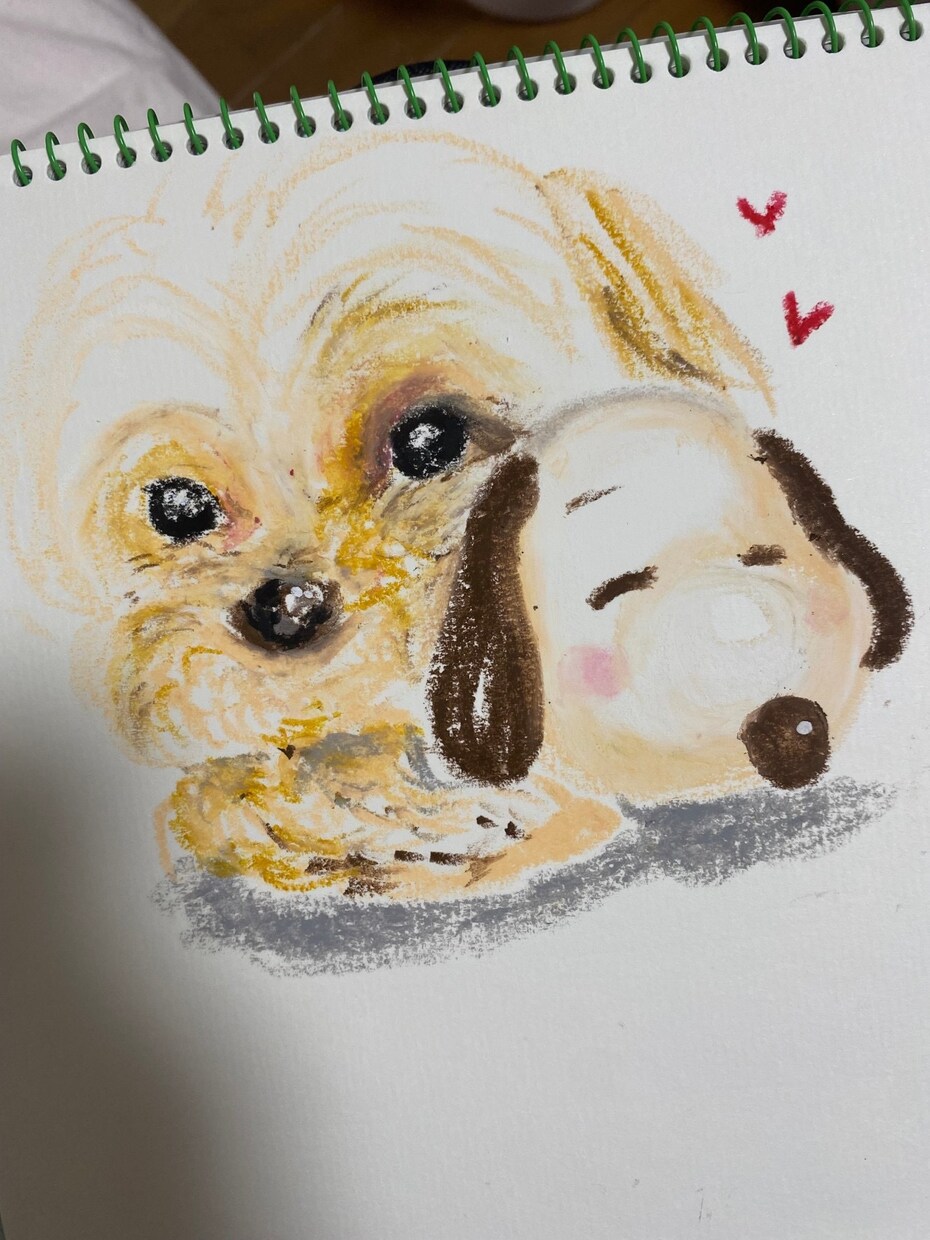 ペットのイラストをクレヨンで描きます お気に入りのペットの写真をクレヨンで優しく可愛く描きます イメージ4