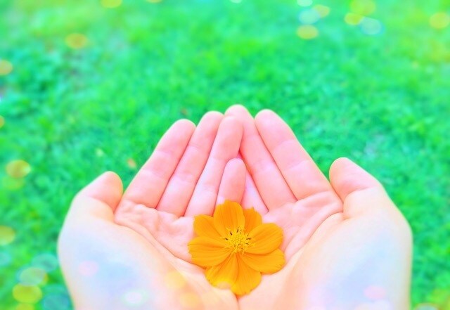 いつも頑張るあなたへ☆彡優しく心地よく寄り添います ちょこっとだけでも大丈夫♪否定なしでゆっくり安心のお話タイム イメージ10