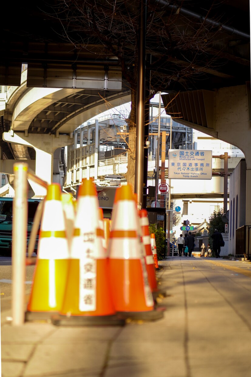 カメラ女子が東京の写真を撮ってきます 動画撮影も承っております！写真加工まで行います✨ イメージ3