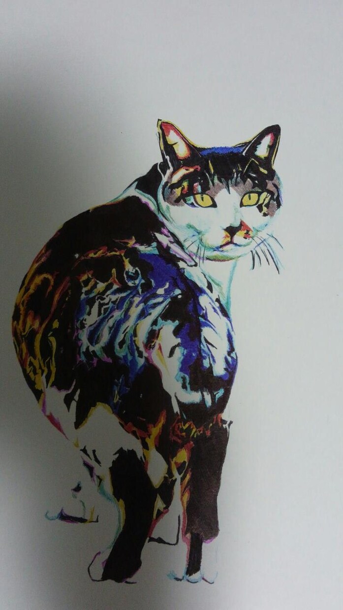 あなたの猫ちゃんのイラストお描きします 猫ちゃん限定ですが、あなたのペットのイラストお描きします イメージ2