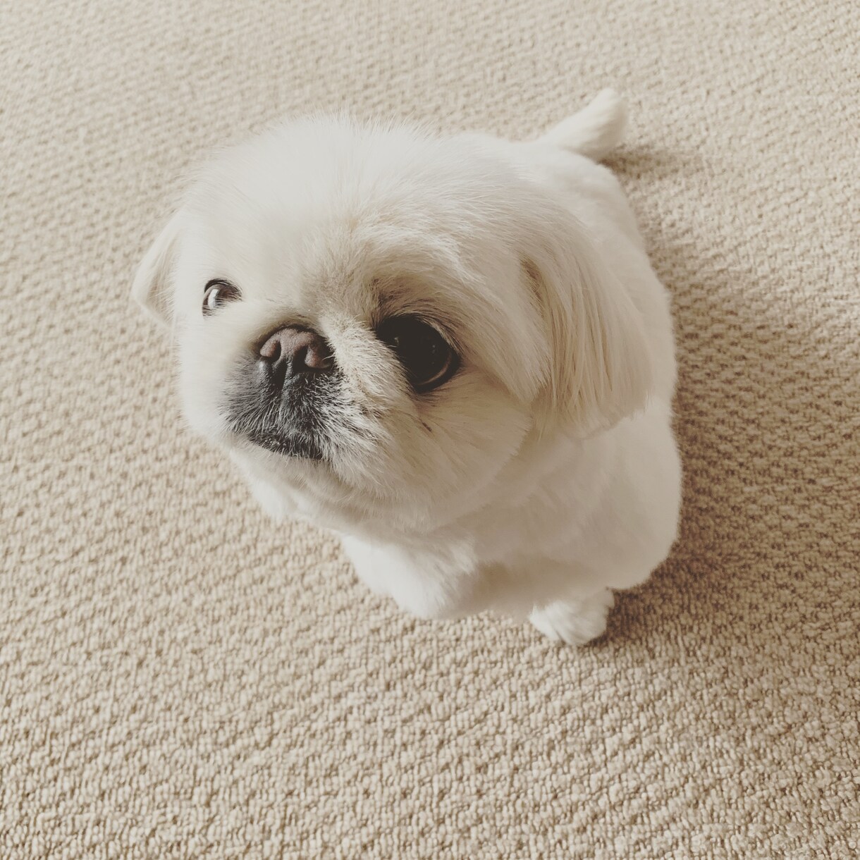 話し相手になり、相談にのります 人はひとりでは生きていけない弱い動物です イメージ1