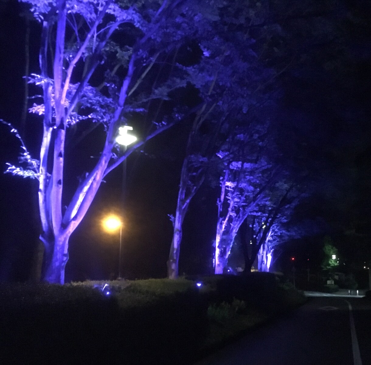 誰かと話したいとき✿秘密厳守でなんでも聞きます あまり男性っぽくない、柔らかい受け答えが特徴です(^-^) イメージ4