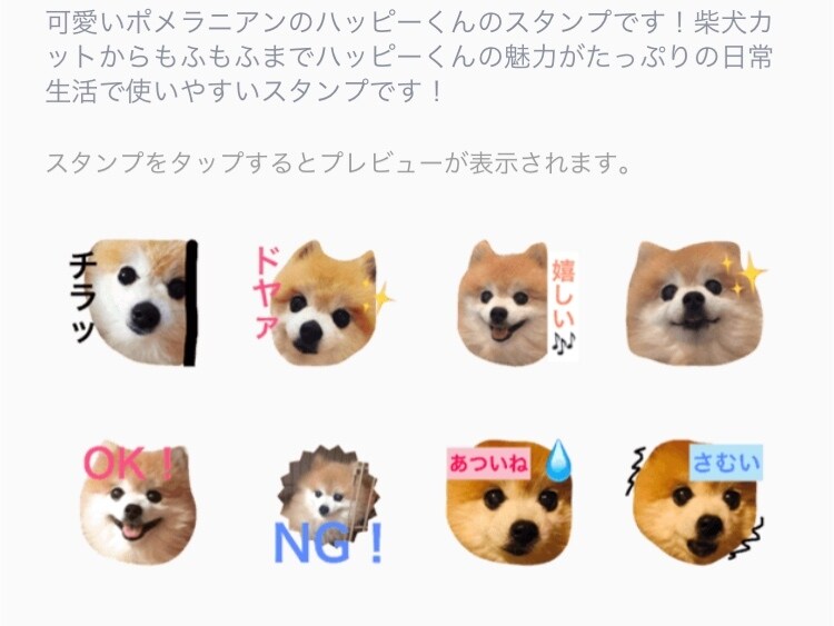 写真やあなたのイラストで！LINEスタンプ作ります 多数のLINEスタンプ発売経験あり！ イメージ4