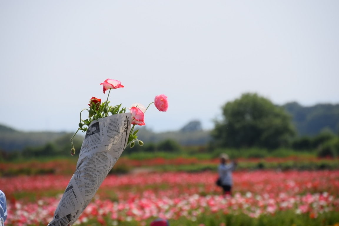 幸せを感じて頂くために出品します 大切な恋人や家族友人にプレゼントしてください、 イメージ9