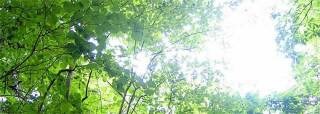 あなたの悩みを聞いて相談にのります。必要であればリーディングをしたり解決に繋がるようにお手伝いします イメージ2