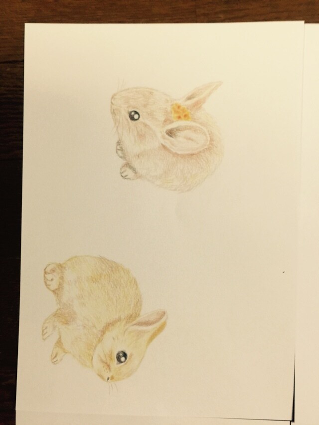 愛するペットのイラストを描きます いただいたペットの写真を基に色鉛筆にてイラストを描きます。 イメージ9
