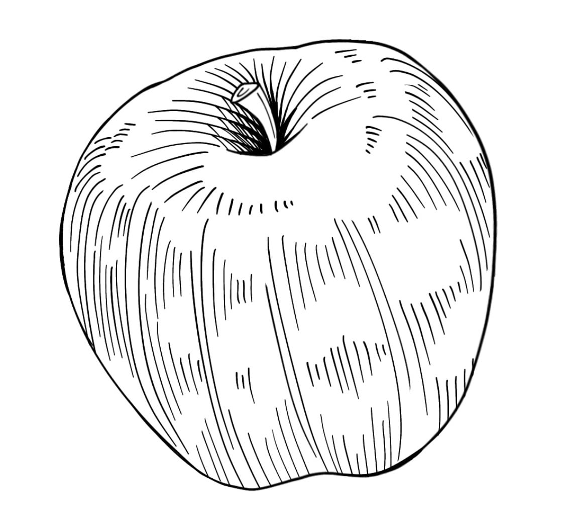 飲食店で使えるイラスト描きます 料理やドリンク、食べ方の説明まで！どんなタッチでも対応★ イメージ6