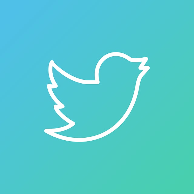 超ブルーオーシャンのTwitterアフィリ教えます 圧倒的な短期決戦型ゲリラ戦略。【男性向けノウハウ】 イメージ2