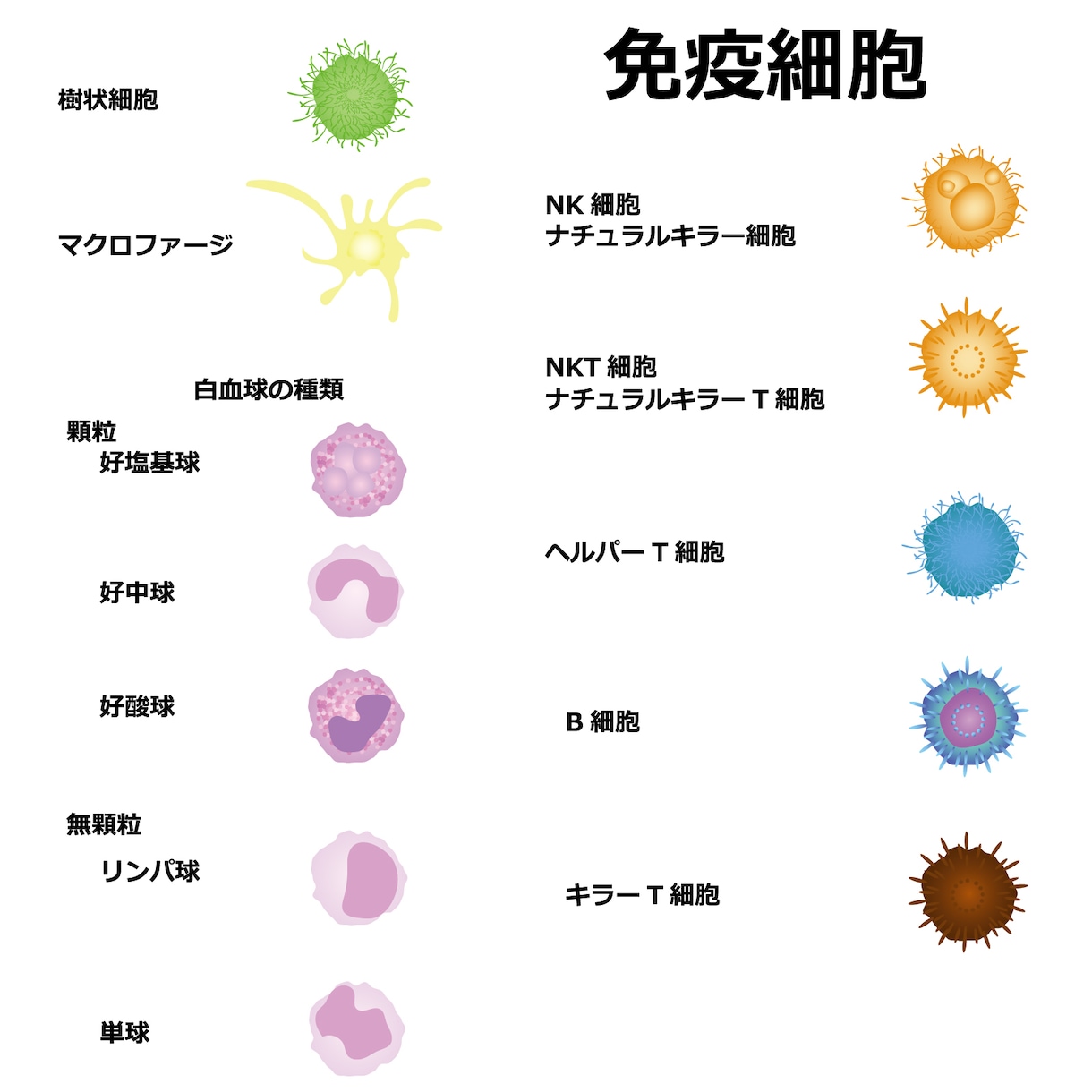 心が楽になり元気になる方法教えます 心が変われば自分が変わります。相手も世の中も変わります。 イメージ2