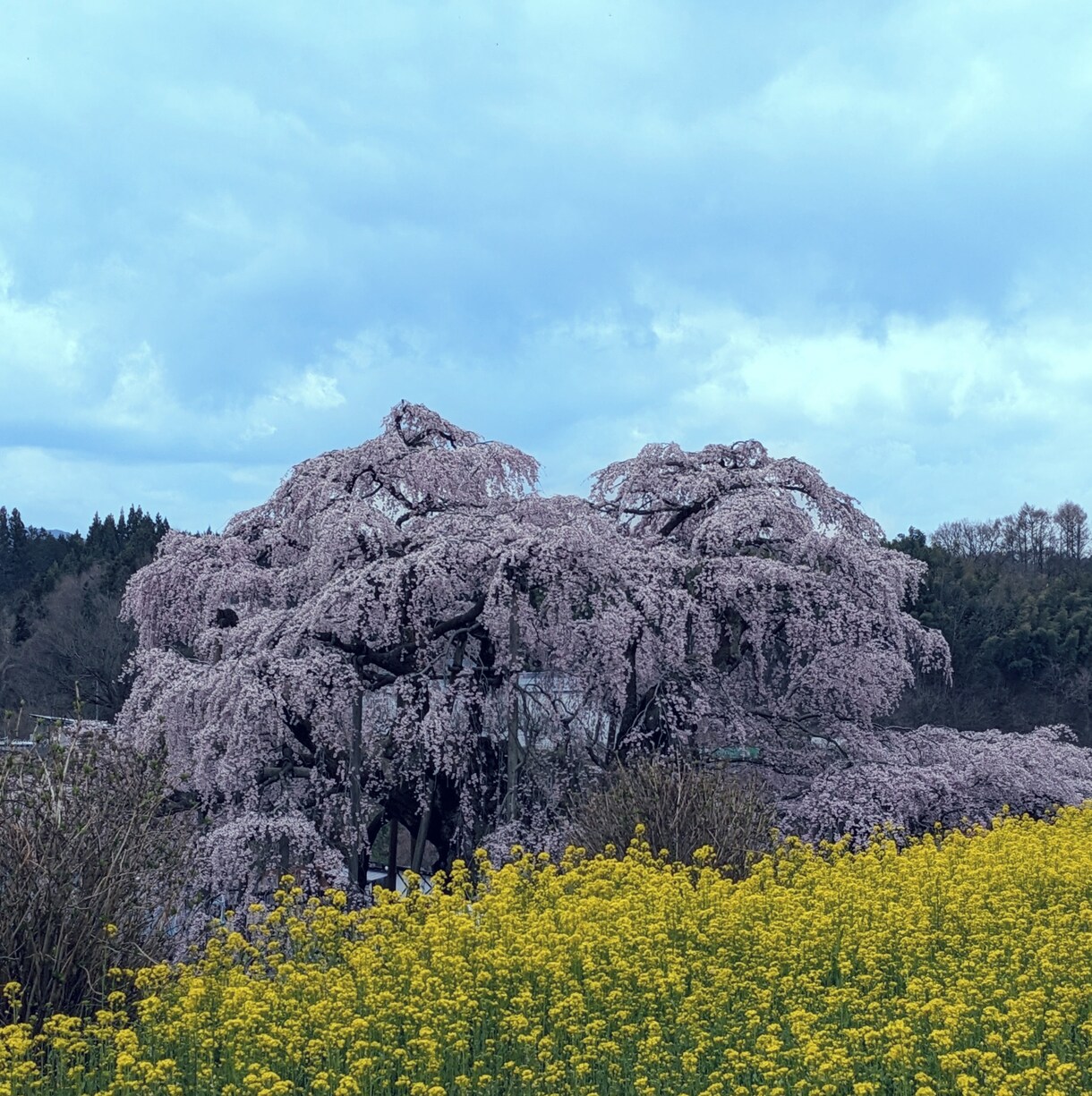 家庭の、職場の、日常生活の愚痴待ってます 私に話して元気になりましょう。 イメージ1