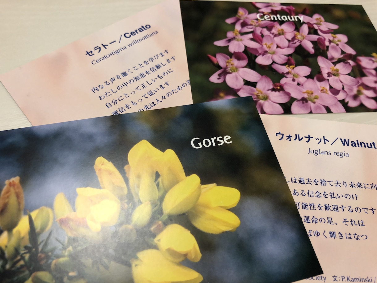 HSP⭐️安心感と自尊心を育むメッセージ伝えます オラクルカード✨繊細な心を守りあなたらしく生きる糸口を見出す イメージ2
