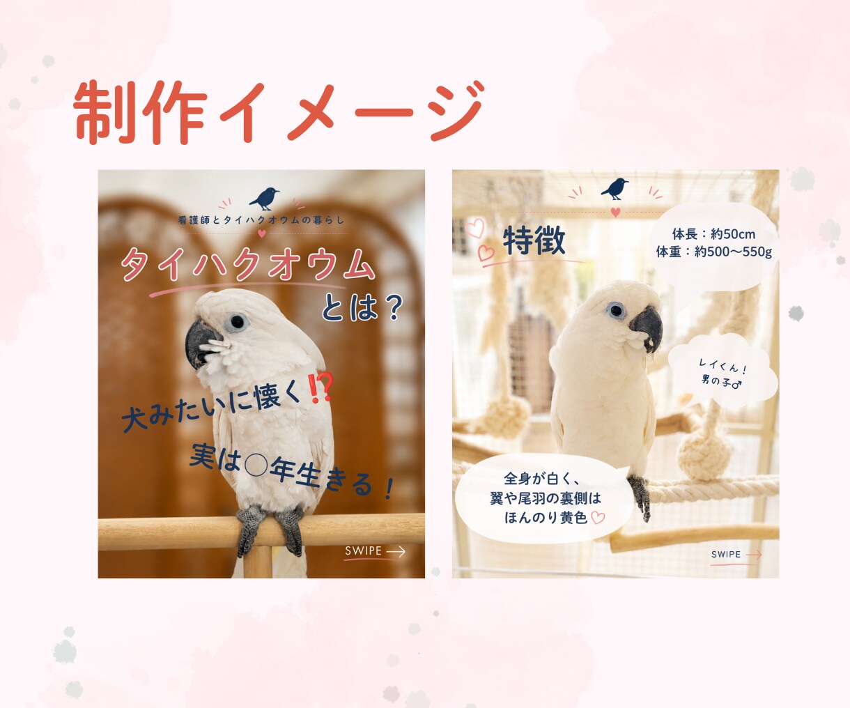 2枚2000円でInstagram画像を制作します ターゲットや目的を意識した、伝わる画像を制作します イメージ5