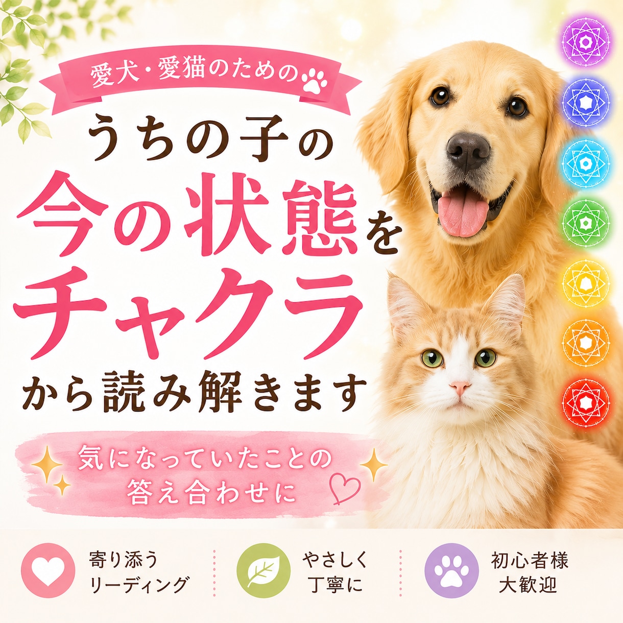 うちの子の今の状態をチャクラから読み解きます 気になっていたモヤモヤの答え合わせに イメージ1