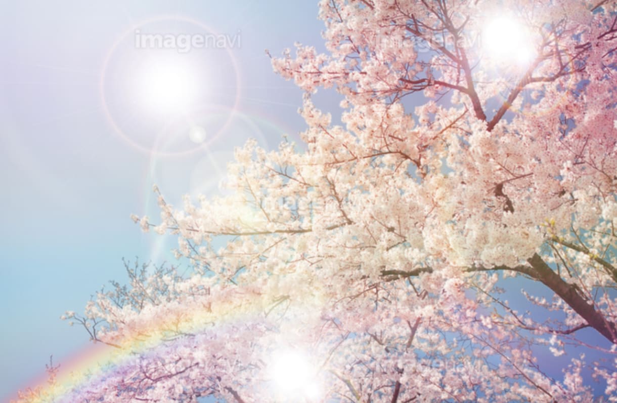 恋愛もお仕事も✿人間関係も霊感タロットで占います ❀サクサク鑑定10分〜✧*未来を虹色の桜満開にする✧* イメージ1