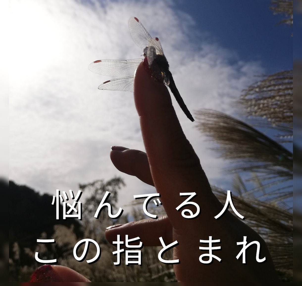 タロット一本で鑑定します 甘辛味のタロット占い体験を届けするよ イメージ3